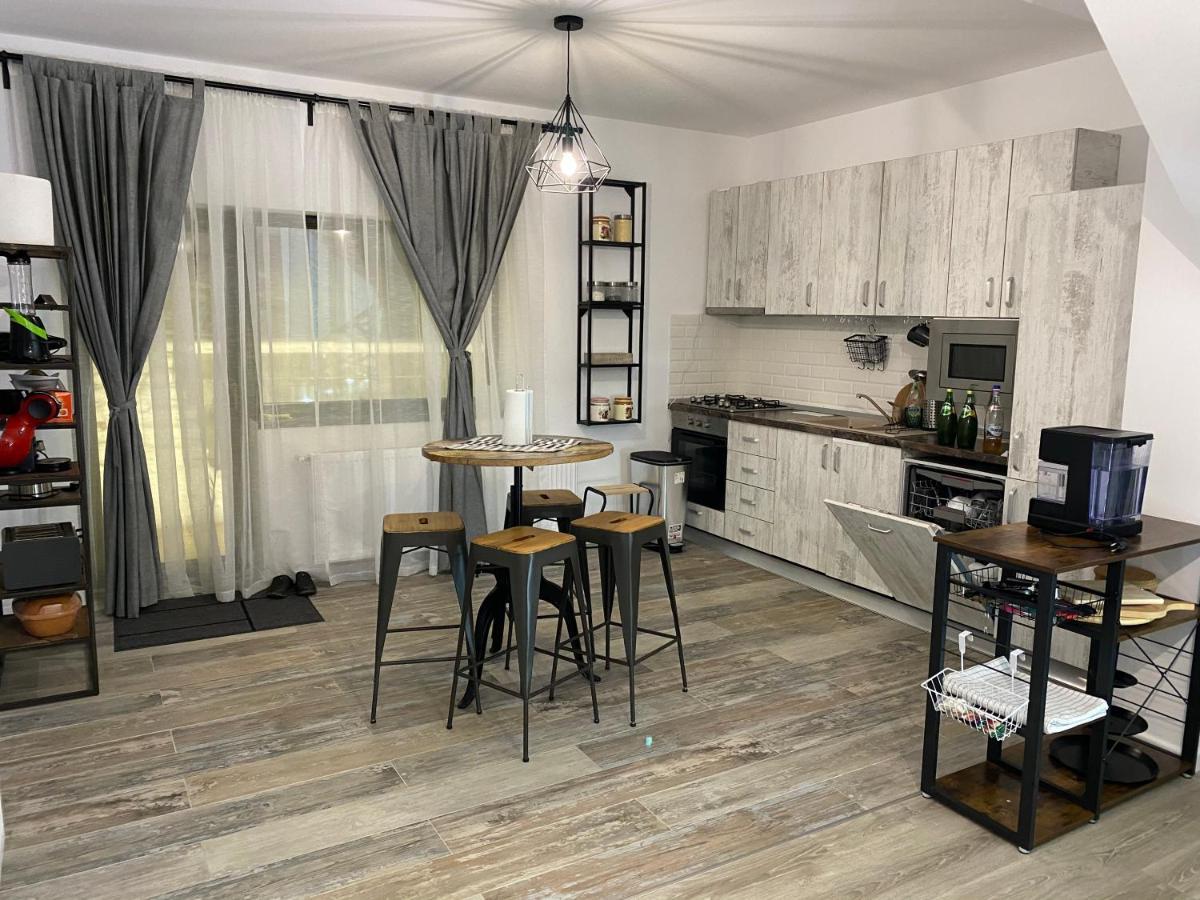 Casa Skadi, Zamora,Buşteni 外观 照片